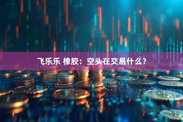 飞乐乐 橡胶：空头在交易什么？