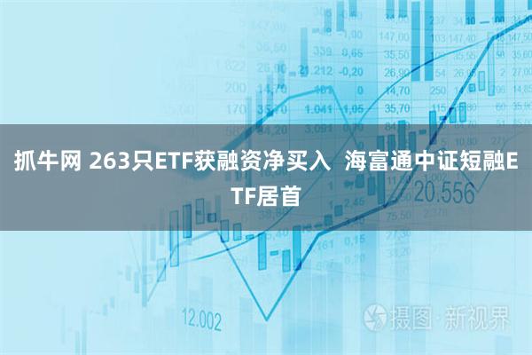 抓牛网 263只ETF获融资净买入 海富通中证短融ETF居首