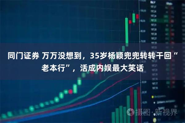 同门证券 万万没想到,35岁杨颖兜兜转转干回“老本行”,活成内娱最大笑话