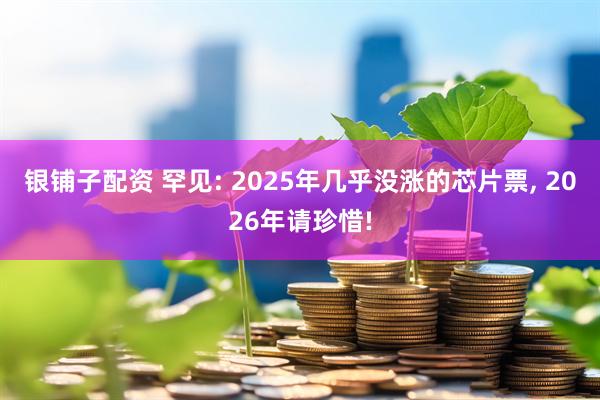银铺子配资 罕见: 2025年几乎没涨的芯片票, 2026年请珍惜!