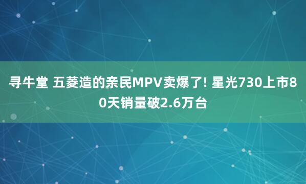 寻牛堂 五菱造的亲民MPV卖爆了! 星光730上市80天销量破2.6万台