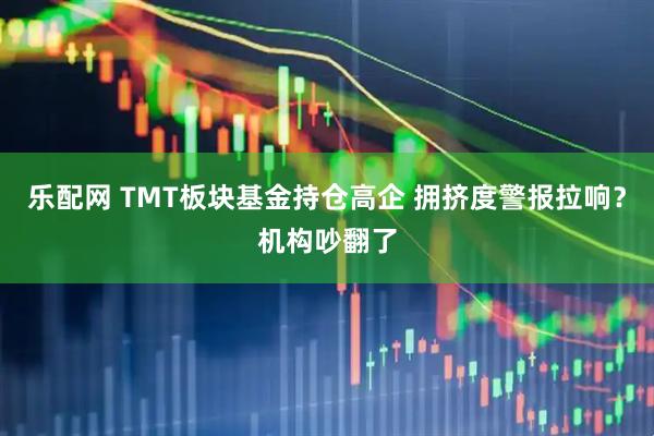 乐配网 TMT板块基金持仓高企 拥挤度警报拉响？机构吵翻了